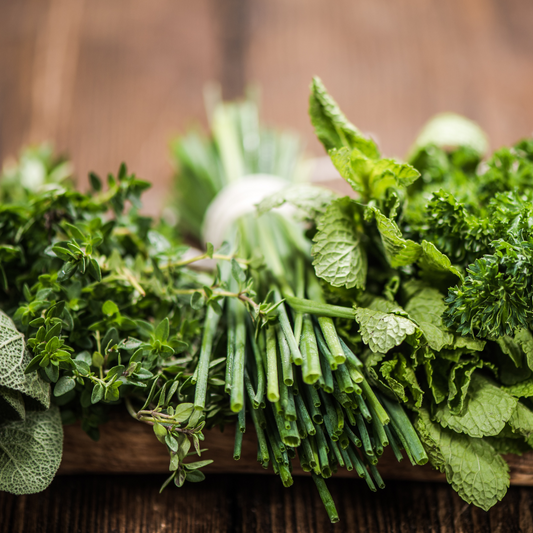 Sécher et conserver ses plantes aromatiques
