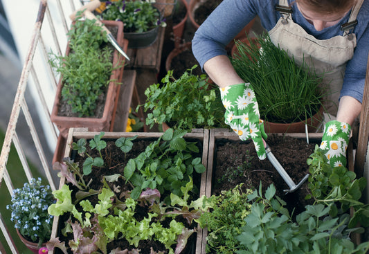 Jardinage sur le balcon
