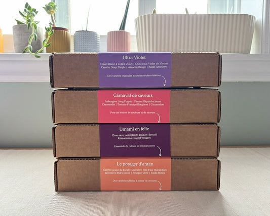 L'ensemble de coffrets pour 4 saisons