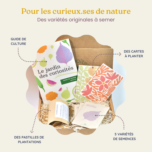 Coffret de jardinage "Le jardin des curiosités"