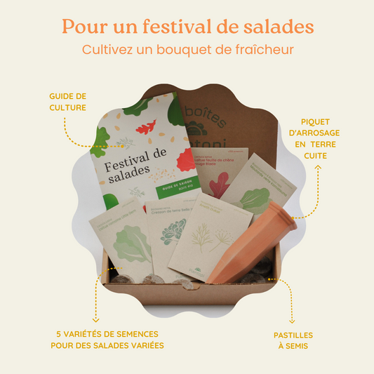 Boite a planter - Festival de salade