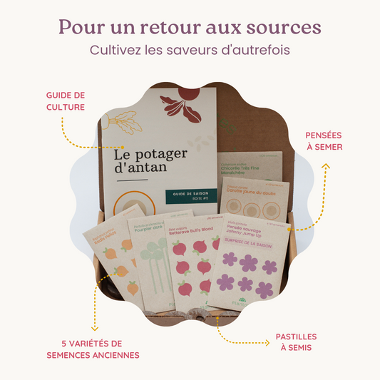 Boite a planter - Le potager dantan