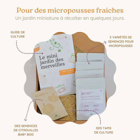 Boite a planter - Mini jardin