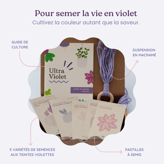 Boite a planter - Ultra Violet