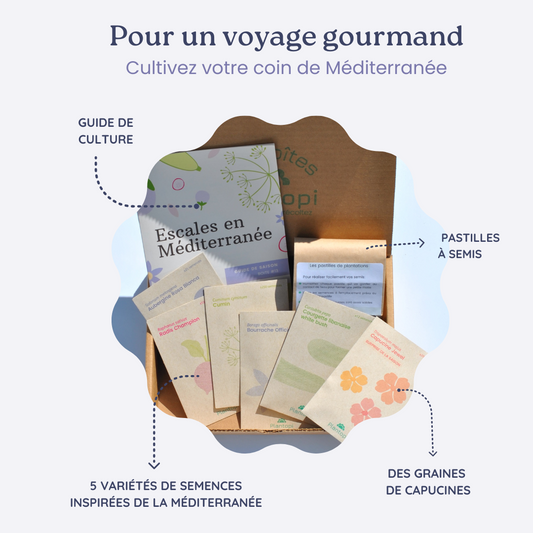 Boite a planter - Escales en Mediterranee
