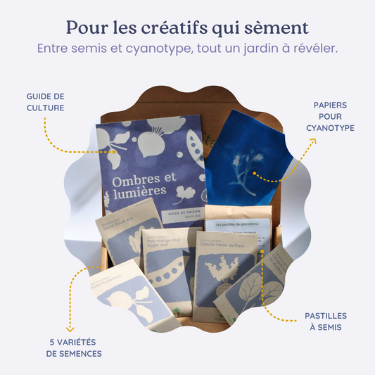 Boite de jardinage - Ombres et lumieres