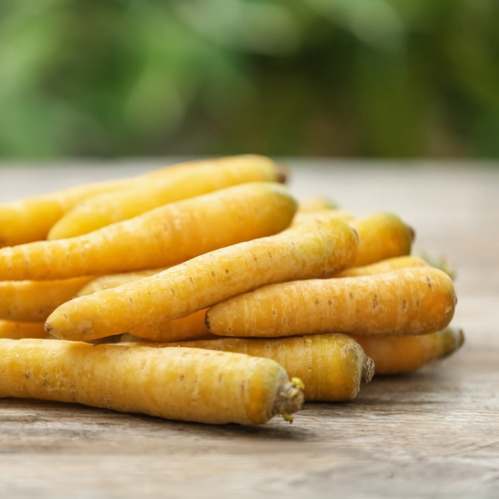 Carottes jaunes du doubs