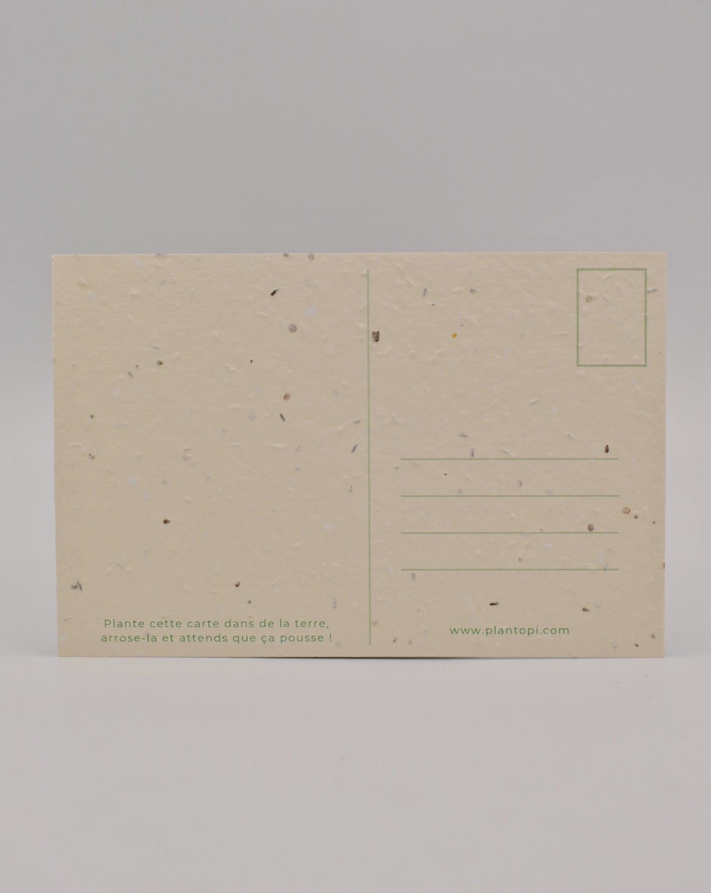 Carte postale à semer "Eveil floral" verso