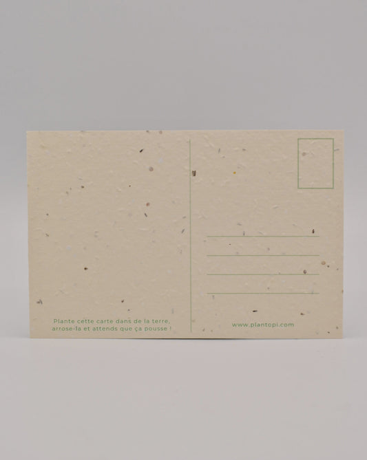 Carte postale à semer "Eveil floral" verso