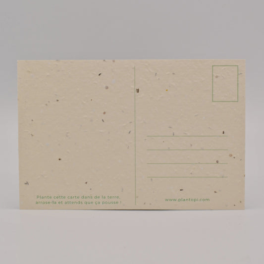 carte postale a semer verso