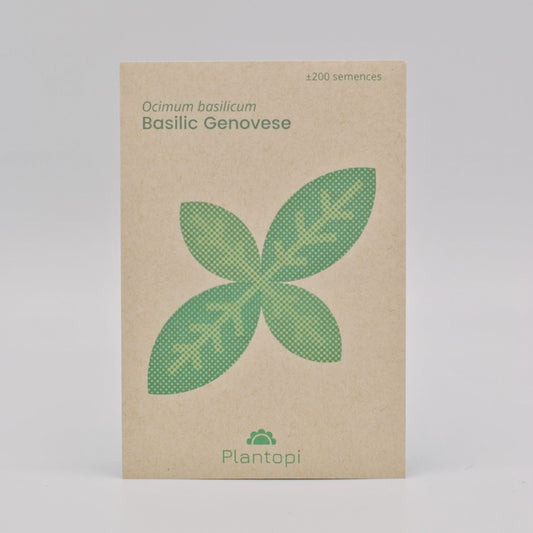 Sachet de semences de basilic genovese