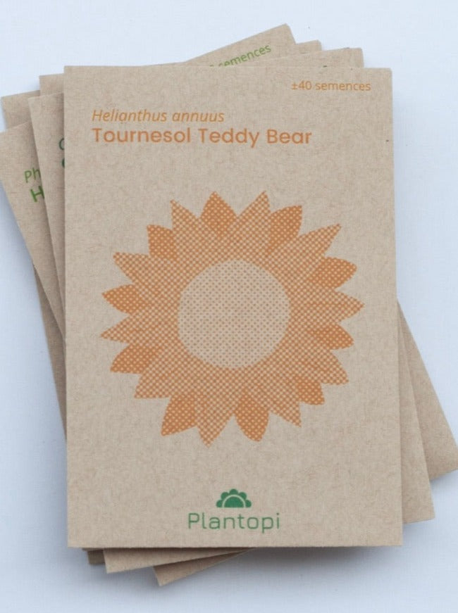 Toursesol Teddy Beear