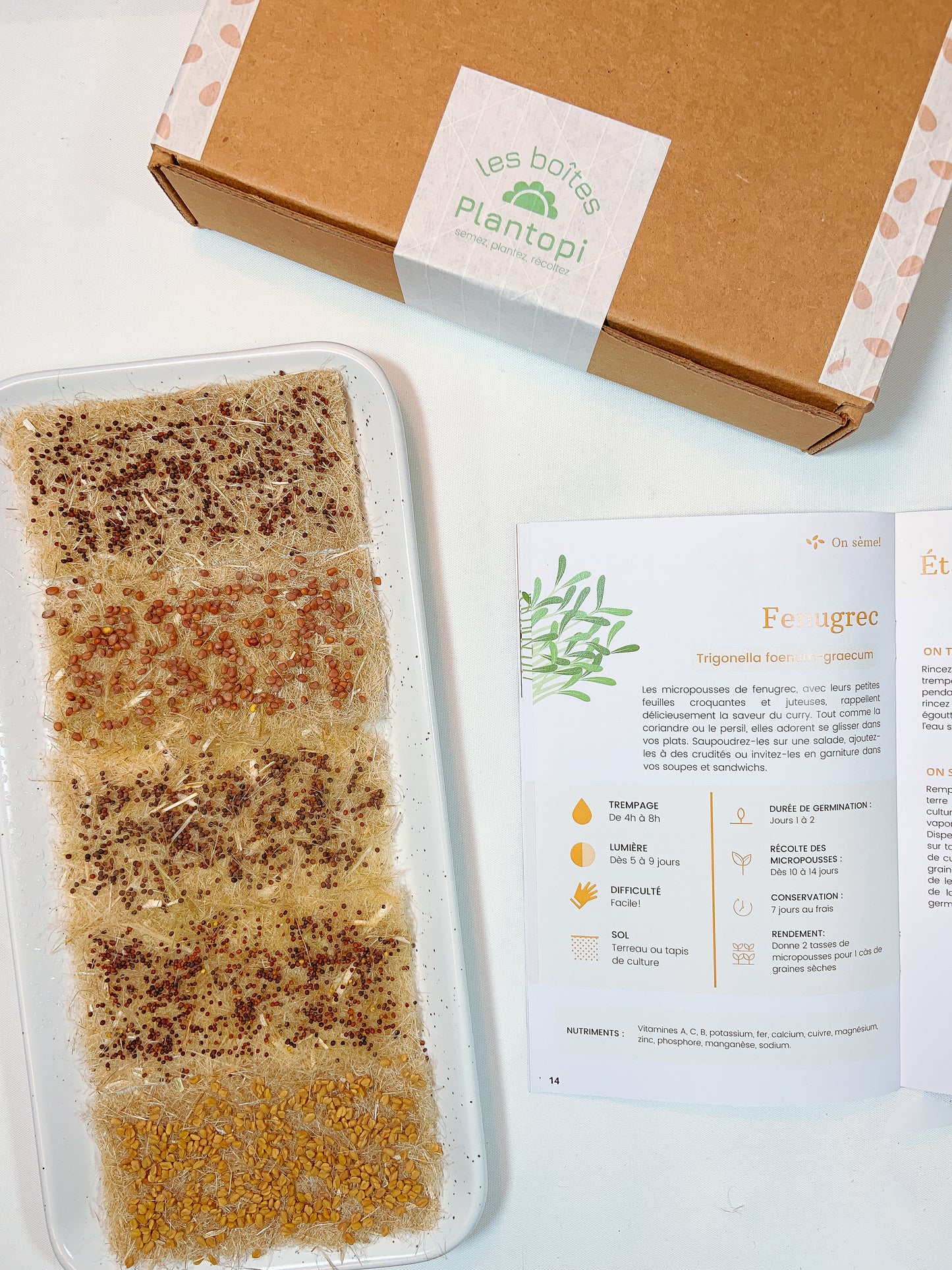 Contenu du coffret "Umami en folie", fenugrec