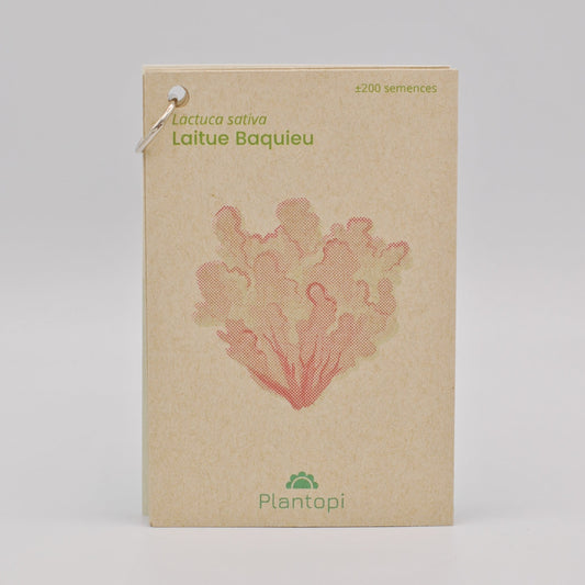 Sachet de semences de laitue Baquieu