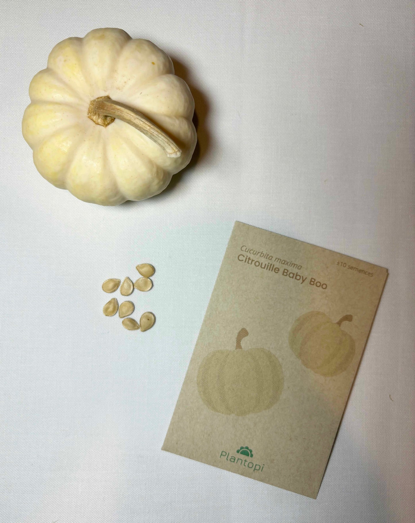 Coffret de culture de micropousses "Le mini jardin des merveilles"