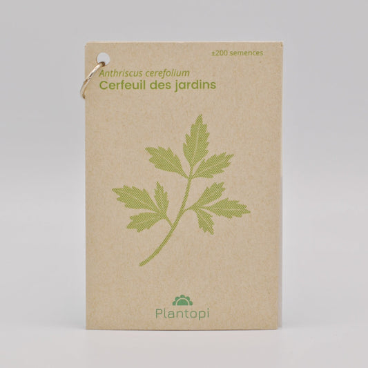 Sachet de semences de Cerfeuil des jardins