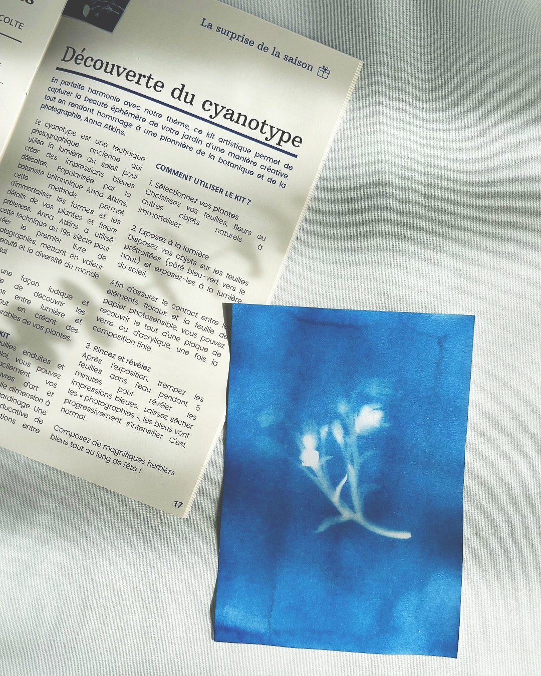 Coffret de jardinage "Ombres et lumières"