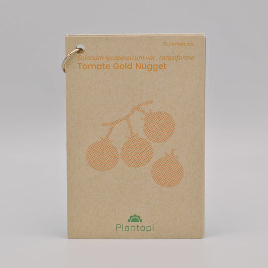 Sachet de semences de tomate Gold Nugget