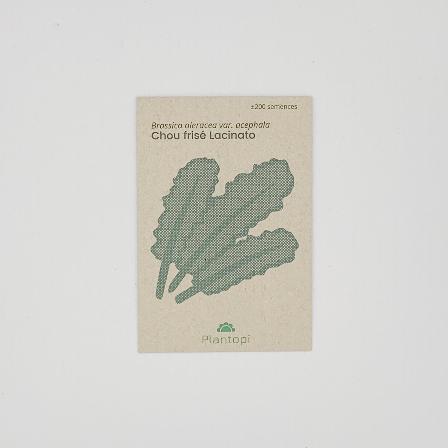 Sachet de semences de chou frisé Lacinato