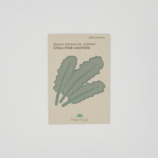 Sachet de semences de chou frisé Lacinato