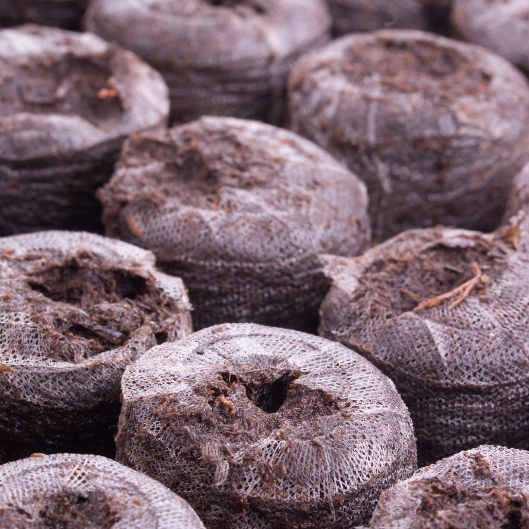 Pastilles de plantation Rehydratees