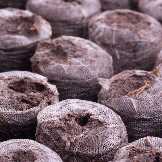 Pastilles de plantation Rehydratees