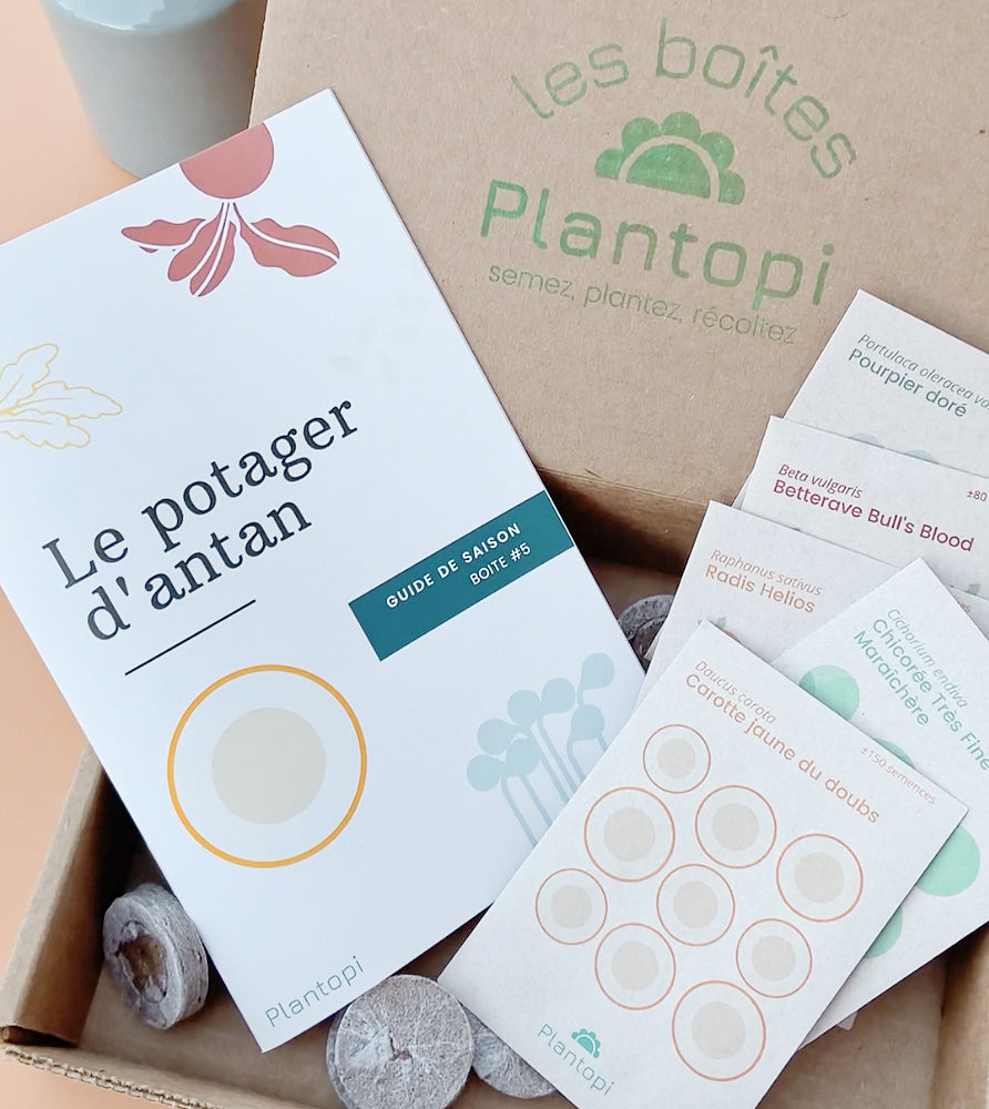 Contenu d’une boîte à planter Plantopi avec semences et guide