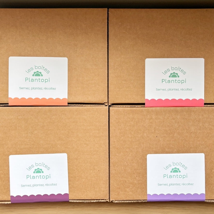Coffrets de jardinage des boites Plantopi