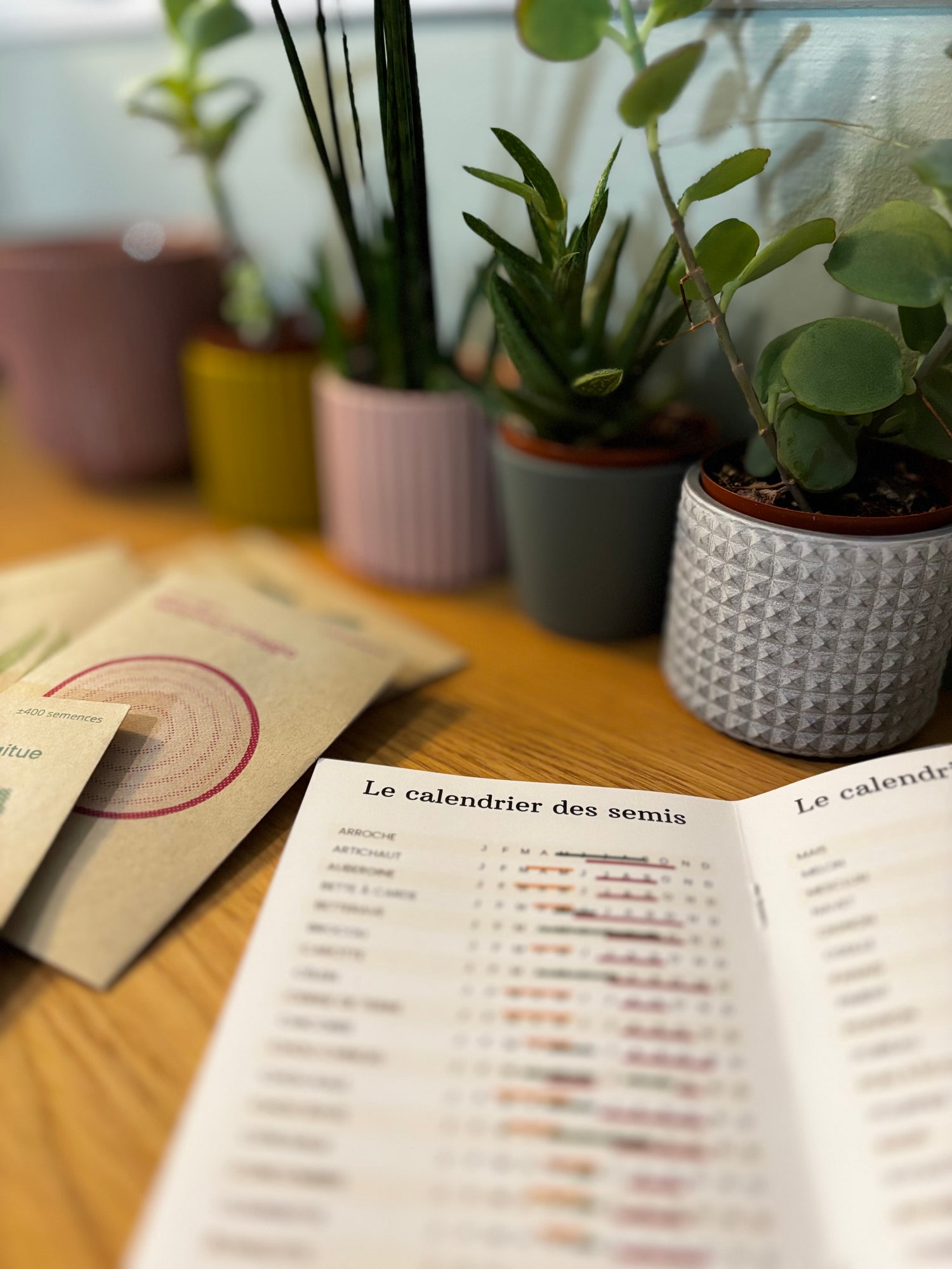 Calendrier des semis et semences pour jardiner facilement avec la boîte Plantopi "La dolce vita"