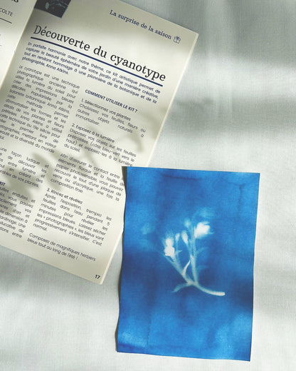 Coffret de jardinage "Ombres et lumières"