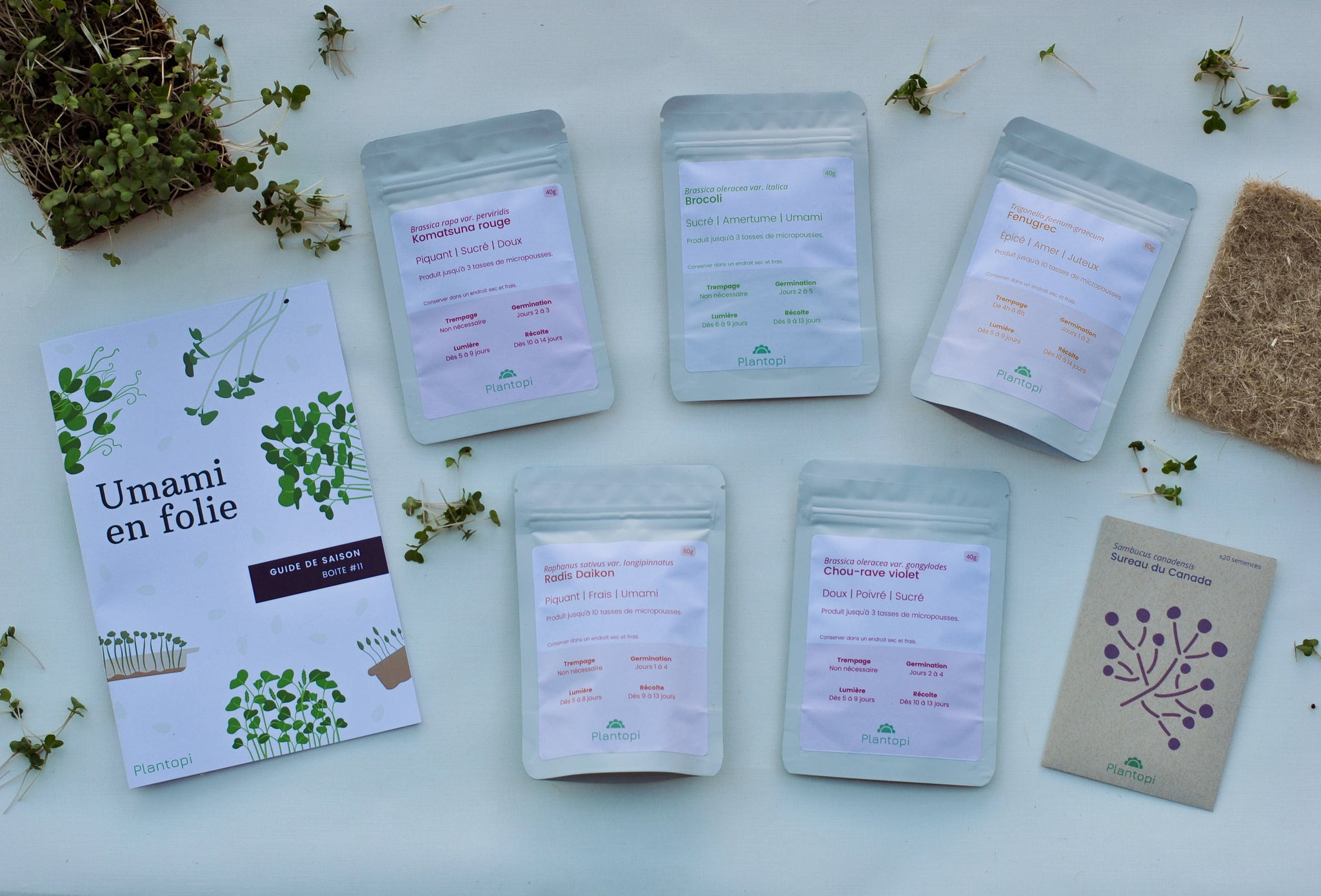 Contenu de la Boite Plantopi Umami en folie